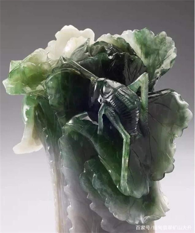 翡翠白菜凭什么被列为台北故宫博物院十大镇院宝物- 玉石珠宝瓷器