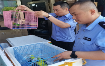 五大连池市公安局联合开展打击非法猎捕贩卖野生鸟类专项行动